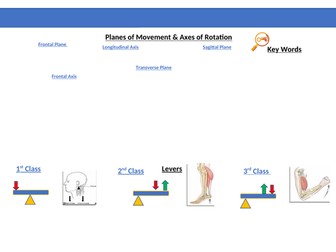 OCR Movement Analysis Knowleadge Organiser