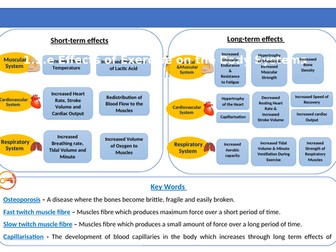 OCR Effects of exercise  Knowleadge Organiser