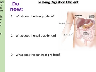 Making digestion efficient AQA B3.7