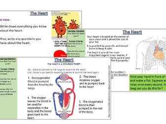 The heart AQA B4.3