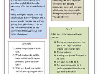 Mini text comprehension for functional skills