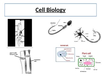 AQA GCSE Biology revision