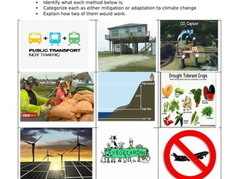 Climate change mitigation or adaptation worksheet