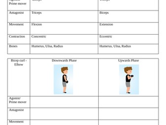 Movement analysis worksheet. Antagonist pairs, movement type, contraction type and bones.