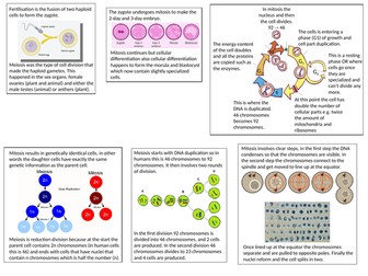 AQA Key Concept lesson Cell Development