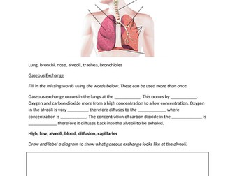 AQA 9-1 GCSE PE Revision Booklet- Cardio-Respiratory System