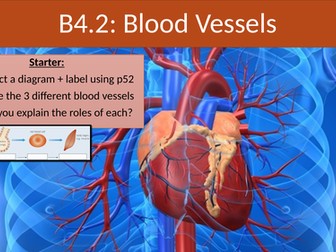 AQA 9-1 NEW GCSE B4.1 ORGANISING ANIMALS AND PLANTS LESSON 2 BLOOD VESSELS