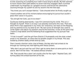 Model writing of Hunger Games