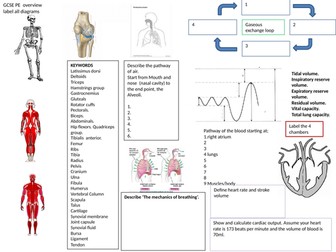 6 learning mats for AQA GCSE PE  Paper1 and Paper2.