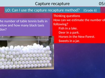 Capture recapture Outstanding lesson