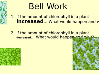 Limiting factors of photosynthesis with Required practical 6