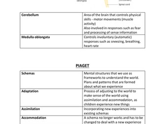 Edexcel GCSE (9-1) Psychology Topic 1 Revision
