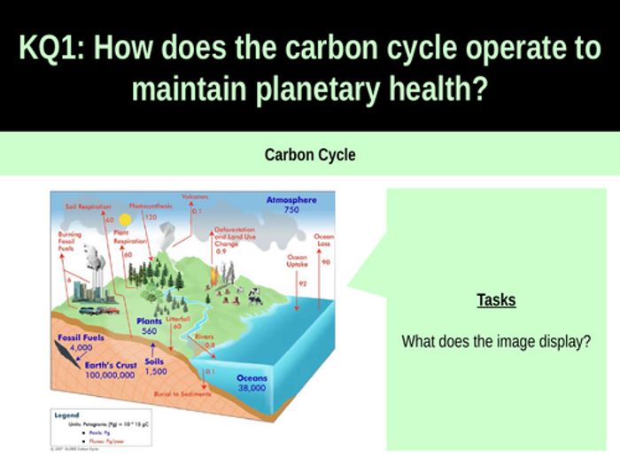 Edexcel A Level - Carbon Cycle - Full Unit | Teaching Resources