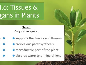 AQA NEW 9-1 Organizing Animals and Plants Plant Organs