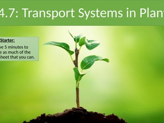 NEW AQA B4, Organizing Animals and Plants. Transport in Plants