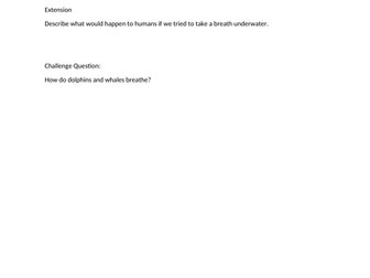 Breathing Systems Insects & Fish