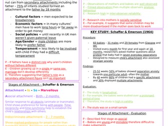 Psychology A-Level - Attachment Revision