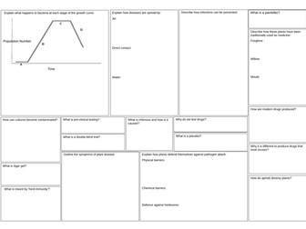 Infection & Response Revision Mat