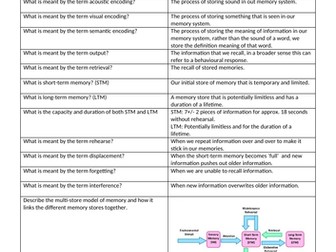 memory folding revision questions gcse psyc edexcel