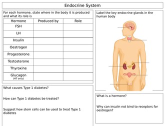 AQA Biology Paper 2 Revision Resources