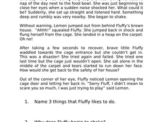 Story Comprehension Year 2