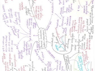 Edexcel (9-1) CB7 - mind map