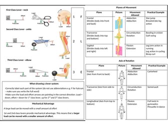 OCR GCSE PE Movement Analysis Revision Sheet