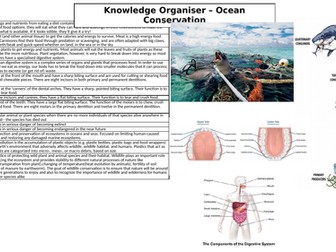 Animals including Humans knowledge organiser