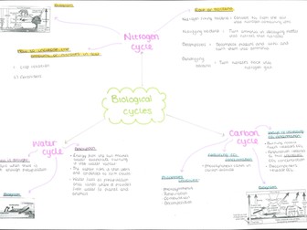 Ecology Cycles Mind Map