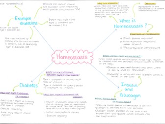 Homeostasis Mind Map