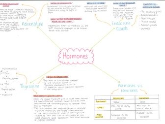 Hormones mind map