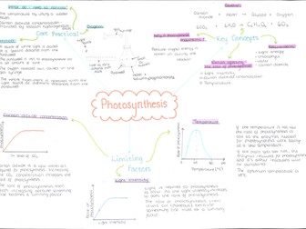 Photosynthesis mind map