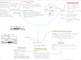 The Menstrual Cycle Mind Map