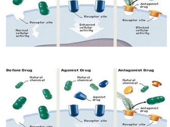 WJEC Medical Science Unit 4  LO2 - How Medicines Work