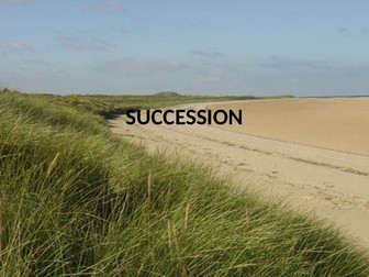 Presentation on succession using sand dunes as an example