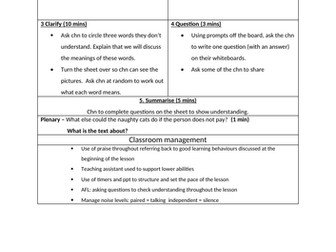 Year 3 guided reading successful interview lesson