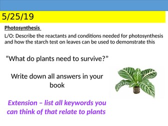 KS3 Photosynthesis and Gas Exchange