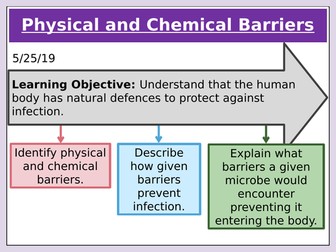 Physical and Chemical Barriers to infection by microorganisms. GCSE 9-1 Edexcel 5.12