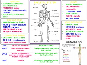 OCR cambridge national sports science bodys response to exercise learning on a page