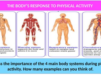 Musculoskeletal system