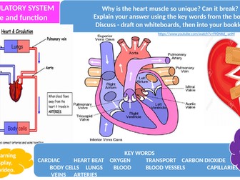 CARDIO-RESPIRATORY SYSTEM