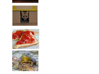 Photographs and pictures for EYFS children to write phonic sentences to match  pictures