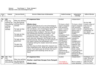 Pompeii non-chronological report