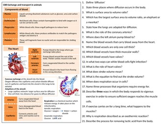 CB8 Efficient transport and exchange revision sheet