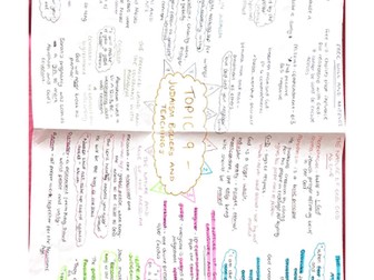 AQA GCSE RS B Topic 9,10,11,13 Mindmaps