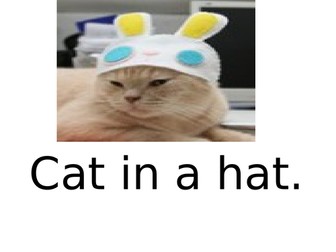 Phase 2 and 3 pictures and senetnces to read and match.