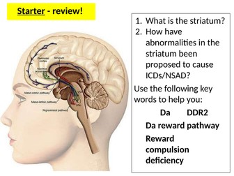 9990 CIE Y13 Behavioural & Cognitive Causes of ICD's and Non-Substance Addictive Disorder