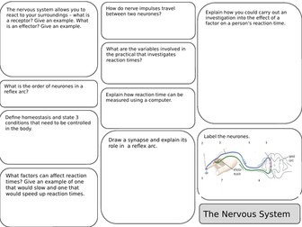 AQA B2 New Spec Revision Sheets with answers