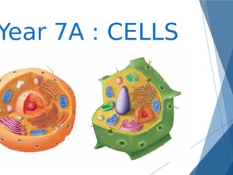 Year 7 Cells  AQA or CIE Science