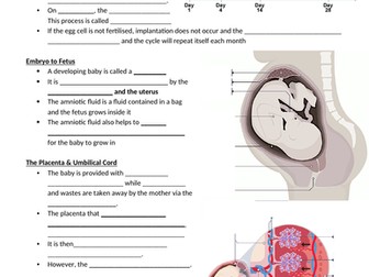 Year 7B Reproduction Science AQA CIE